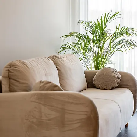New Cozy 2br I Cohost Appartement